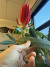 IMG_9911.jpeg