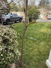 IMG_0010.jpeg